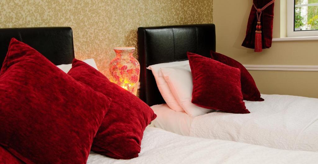 Sika Lodge Guesthouse Killarney Oda fotoğraf